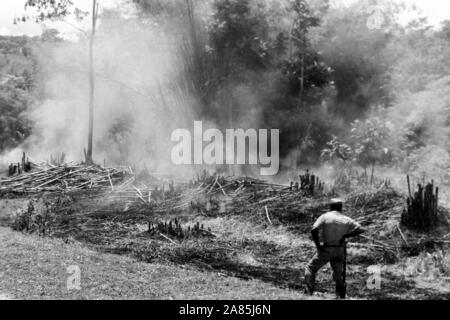 Besuch auf Trinidad und Tobago, 1960er. Visiting Trinidad and Tobago, 1960s. Stock Photo