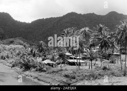 Besuch auf Trinidad und Tobago, 1960er. Visiting Trinidad and Tobago, 1960s. Stock Photo