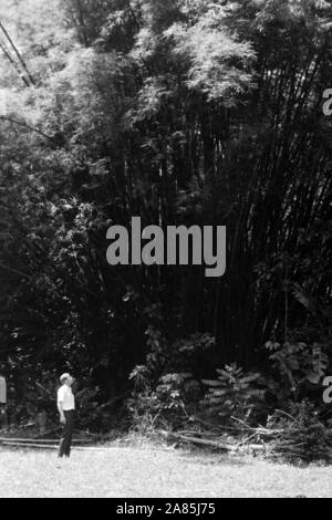 Besuch auf Trinidad und Tobago, 1960er. Visiting Trinidad and Tobago, 1960s. Stock Photo