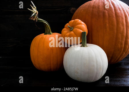 Rustic Grouping of Whole Pumpkins: Group of whole pumpkins of various sizes on a dark wood background Stock Photo