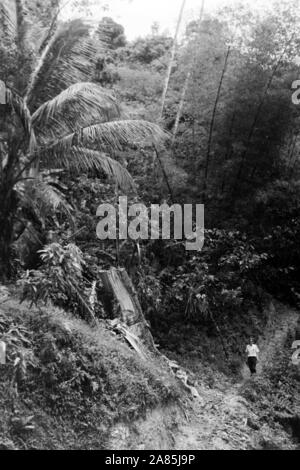 Besuch auf Trinidad und Tobago, 1960er. Visiting Trinidad and Tobago, 1960s. Stock Photo