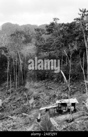 Besuch auf Trinidad und Tobago, 1960er. Visiting Trinidad and Tobago, 1960s. Stock Photo