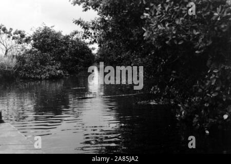 Besuch auf Trinidad und Tobago, 1960er. Visiting Trinidad and Tobago, 1960s. Stock Photo