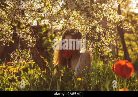 Girl in white dress smelling tulip in sunset, dandelions and cherry flowers in springtime Stock Photo