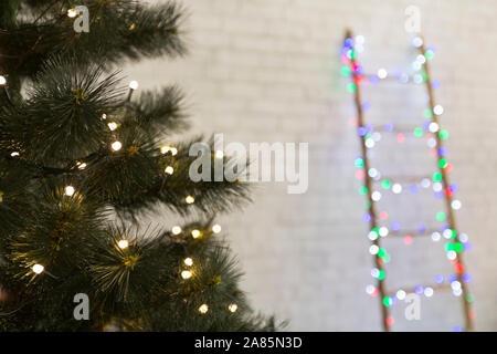 Close up of real pine tree with garland on blurred background Stock Photo