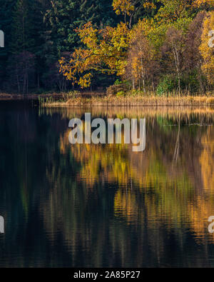 Colorful golden autumn tree reflecting in a calm Loch Chon in Scottish Highlands Stock Photo