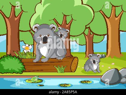 Scene with koala in the forest illustration Stock Vector