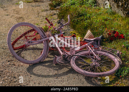 Two painted bicycles - red and pink lies on earth Stock Photo