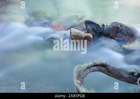 Cascading water in a rain forest running water between rocks and tree roots long exposure overcast day Stock Photo