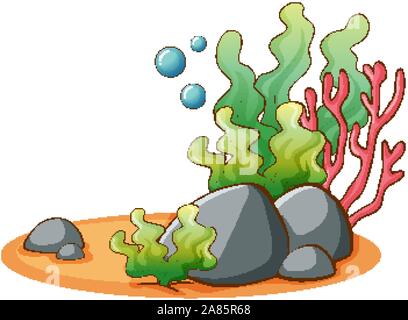 Seaweeds and coral on white background illustration Stock Vector