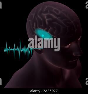 3D illustration showing human ear of a man with soundwave and and marked auditory cortex Stock Photo