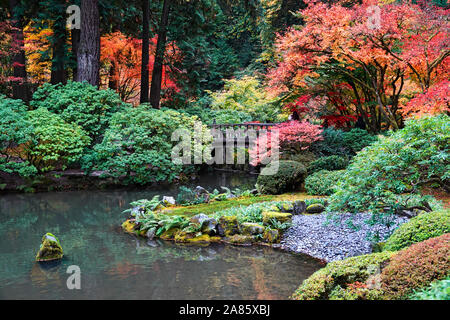 Maple trees and other exotic deciduous trees turning yellow and red in the world famous Japanese Gardens in Portland, Oregon, in Autumn. Stock Photo