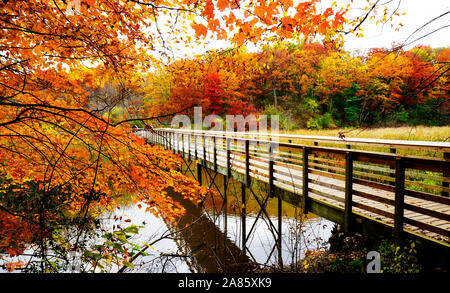 Wooden footbridge surrounded by brilliant fall colors Stock Photo