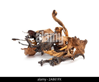 a handfu of dried mushrooms isolated on white background, mizture of trumpets of the dead and yellowfoot mushrooms Stock Photo