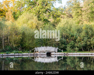 The Cow Pond, Great Windsor Park, Which is in Surrey and Berkshire Border, The Water is in Berkshire but the Banks in Surrey, England, UK, GB. Stock Photo