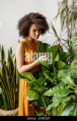 Beautiful florist working looking on leaves in her flower shop Stock Photo