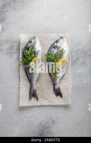 Dorada fish, raw fresh sea bream with lemon and herbs on a grey stone background, top view. Stock Photo