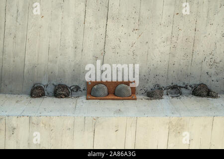 The artificial fake bird nests are hanging under the bridge on the concrete ceiling. Made to help the birds to have children fast. Stock Photo