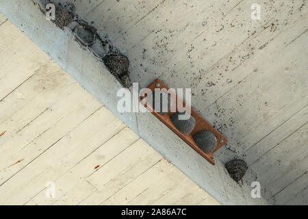 The artificial fake bird nests are hanging under the bridge on the concrete ceiling. Made to help the birds to have children fast. Stock Photo