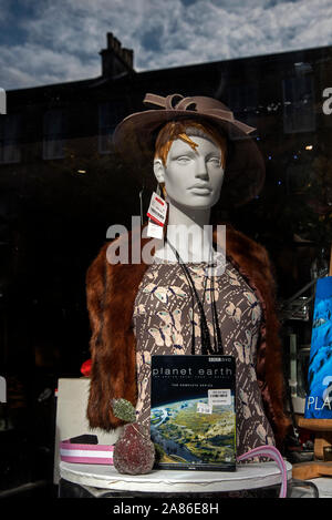 Mannequin and reflections in the window of a Shelter charity shop in Stockbridge, Edinburgh, Scotland, UK. Stock Photo