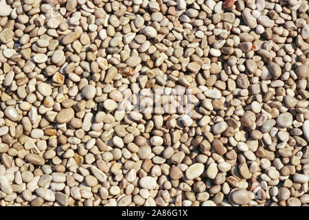 Image of shallow, smooth, wet pebbles on the beach of the Adriatic Sea for use as an abstract background. Stock Photo
