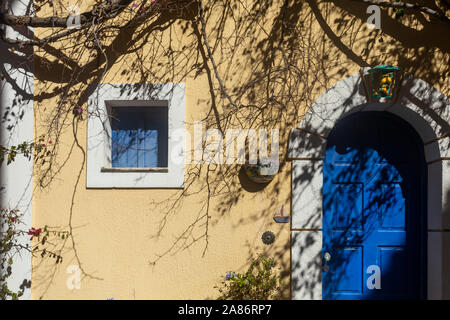The shadow of a plant falls on the facade of the building Stock Photo