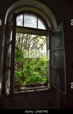 Looking out through old open window in derelict building in silhouette with bright green bush on outside Stock Photo