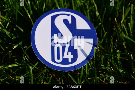 September 6, 2019 Istanbul, Turkey. The emblem of the German football club Schalke 04 Gelsenkirchen on the green grass of the football field. Stock Photo
