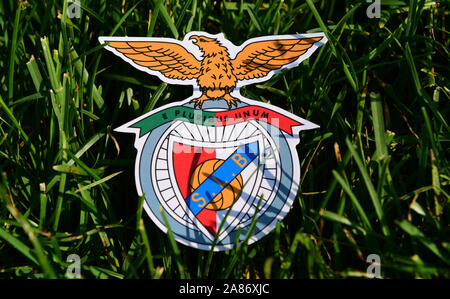 September 6, 2019 Istanbul, Turkey. The emblem of the Portuguese football club Benfica Lisbon on the green grass of the football field. Stock Photo