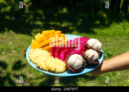 A girl in the green jungle is holding a plate with freshly cut and peeled tropical fruits. Stock Photo
