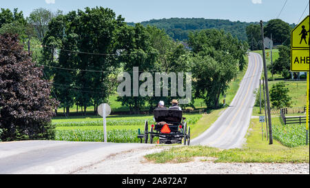 Amish Open Horse and Buggy with 2 Amish Adults in it trotting down the Hill on a Sunny Day Stock Photo