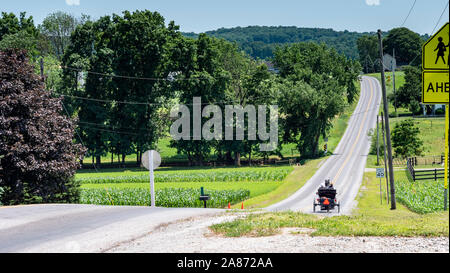 Amish Open Horse and Buggy with 2 Amish Adults in it trotting down the Hill on a Sunny Day Stock Photo