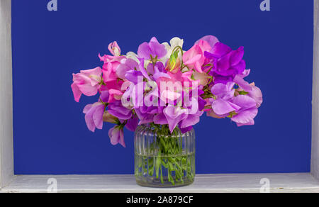 A bunch of sweet pea flowers framed blue background space for text Stock Photo