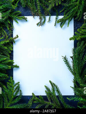 Empty Blank Card Surrounded by Christmas Tree Branches. Simple Christmas Composition Stock Photo