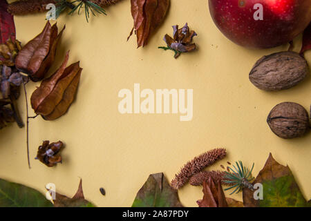 Bunch of colorful leaves, pods, food and nuts on yellow background, still life copy space, top view autumn composition, place for text Stock Photo