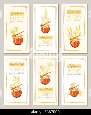 Honey flowers vintage vertical flyers design. Engraved Clover, Milk Thistle and Sainfoin plants with glass honey jar and drop. Hand drawn Lavender, Buckwheat orange logo templates set. Sketch banners Stock Vector