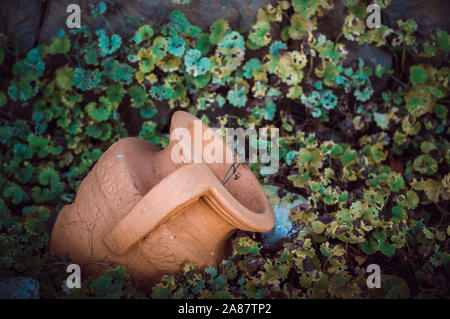 Old clay amphora in the ground against the background of green grass Stock Photo