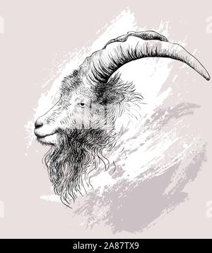 Mountain goat. Vector illustration Stock Vector