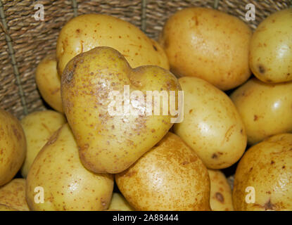 A heart shaped potato in a wicker basket with other potatoes. Love Potato Stock Photo