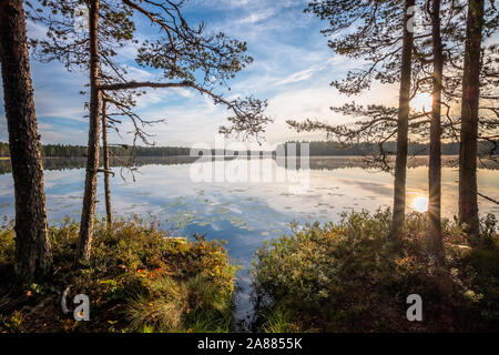 Scenic sunrise landscape with lake and woodland at peaceful summer morning in Finland Stock Photo