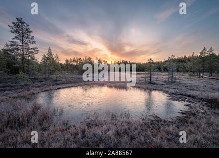 Calmness and cold autumn morning with frozen pond and sunrise in wetland Finland Stock Photo