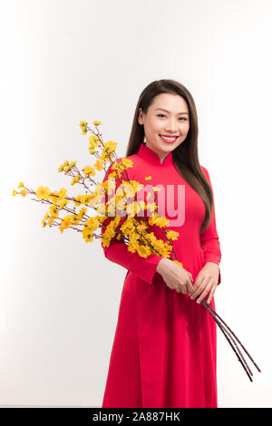 Young Asian woman in traditional aodai dress holding Hoa Mai tree (Ochna Integerrima) flower, smiling, celebrating Lunar New Year or spring festival Stock Photo