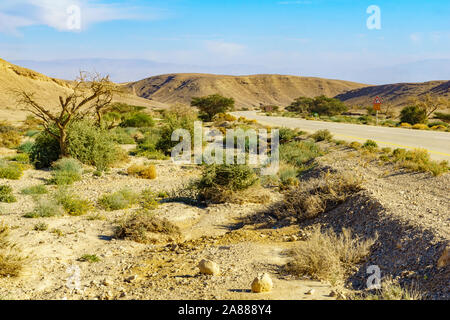 Desert landscape in the northern part of the Arava, Southern Israel Stock Photo