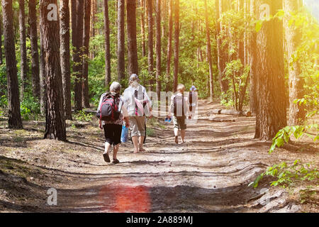 Elderly people strolling in park. Sunny summer day. Active retired seniors walking in green park. Stock Photo