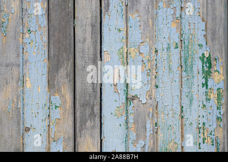 Background from gray wooden planks top view. Wooden background with peeling dried blue paint. Old painted fence made of wooden boards. Stock Photo