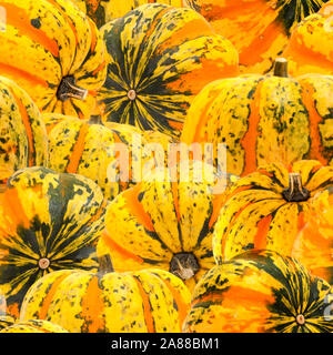 seamless repeatable orange and dar green ornamental pumpkin background Stock Photo