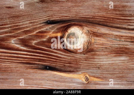The texture of a wooden log. The texture of lumber. Stock Photo