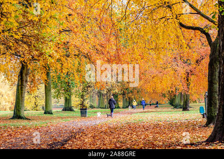 Northampton, UK, 7th November 2019, UK Weather, Sunshine and showers in Abington Park showing the autumn colours in the trees making it quite pleasant for a late morning walk after the heavy early morning rain. Credit: Keith J Smith./Alamy Live News Stock Photo