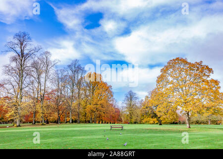 Northampton, UK, 7th November 2019, UK Weather, Sunshine and showers in Abington Park showing the autumn colours in the trees making it quite pleasant for a late morning walk after the heavy early morning rain. Credit: Keith J Smith./Alamy Live News Stock Photo