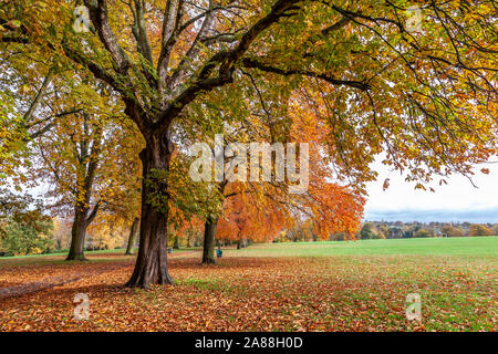 Northampton, UK, 7th November 2019, UK Weather, Sunshine and showers in Abington Park showing the autumn colours in the trees making it quite pleasant for a late morning walk after the heavy early morning rain. Credit: Keith J Smith./Alamy Live News Stock Photo
